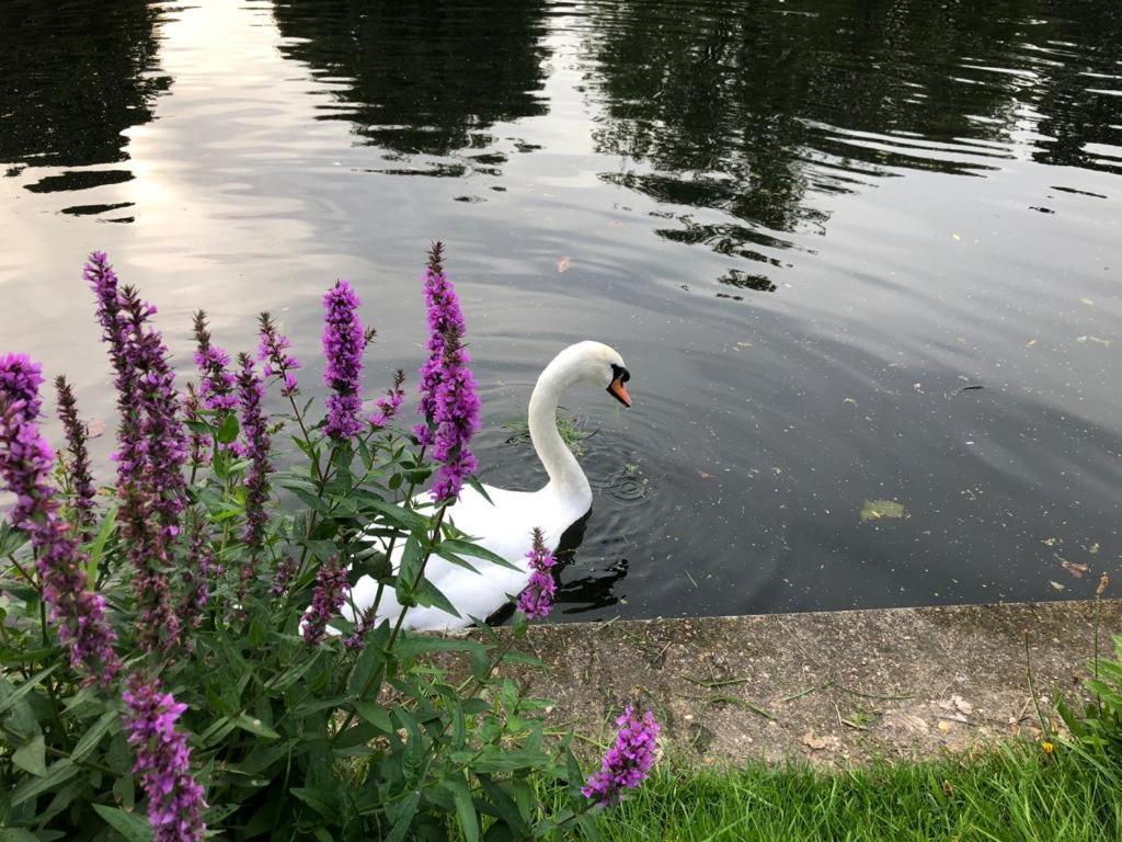 Cozy Double Bedroom In Stunning Bungalow On River Thames - Near Thorpe Park/Royal Holloway University/20Mins From Heathrow Staines-upon-Thames Exterior foto