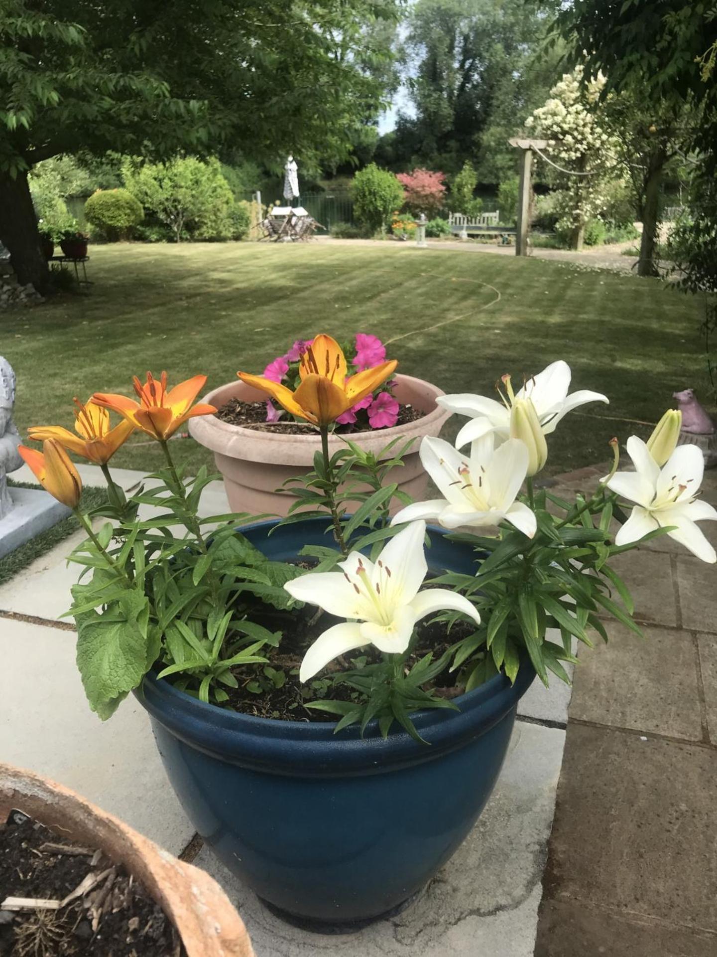 Cozy Double Bedroom In Stunning Bungalow On River Thames - Near Thorpe Park/Royal Holloway University/20Mins From Heathrow Staines-upon-Thames Exterior foto